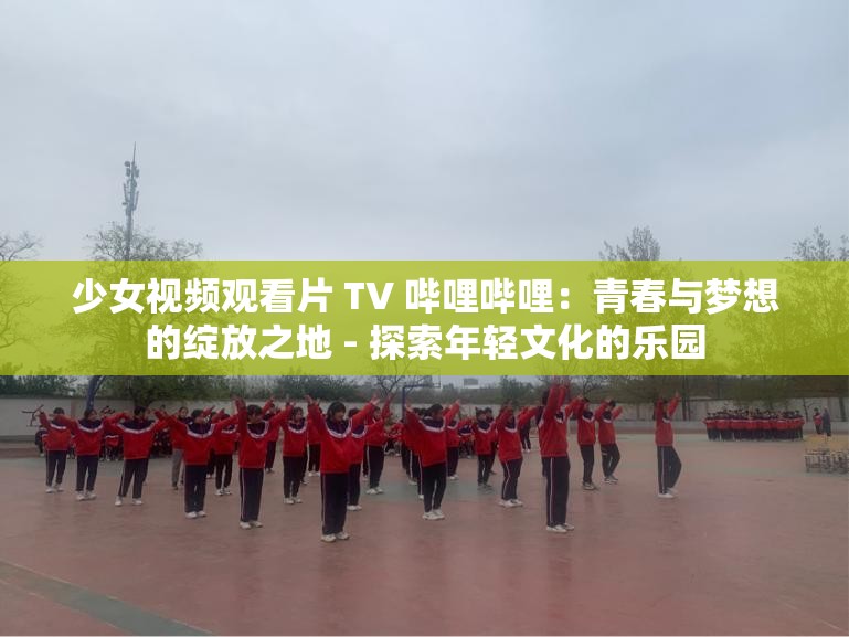 少女视频观看片 TV 哔哩哔哩：青春与梦想的绽放之地 - 探索年轻文化的乐园