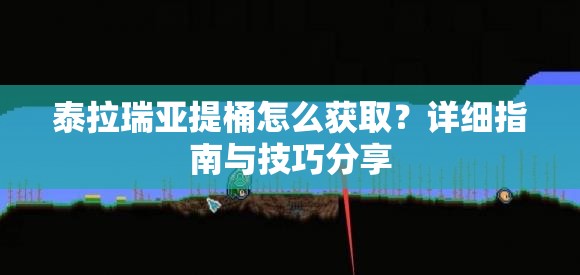 泰拉瑞亚提桶怎么获取？详细指南与技巧分享