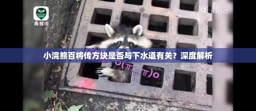 小浣熊百将传方块是否与下水道有关？深度解析